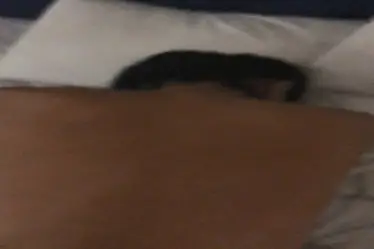 Bokep Indo ABG Kentu WOT Ganas Sekali